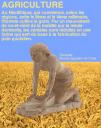 Agriculture